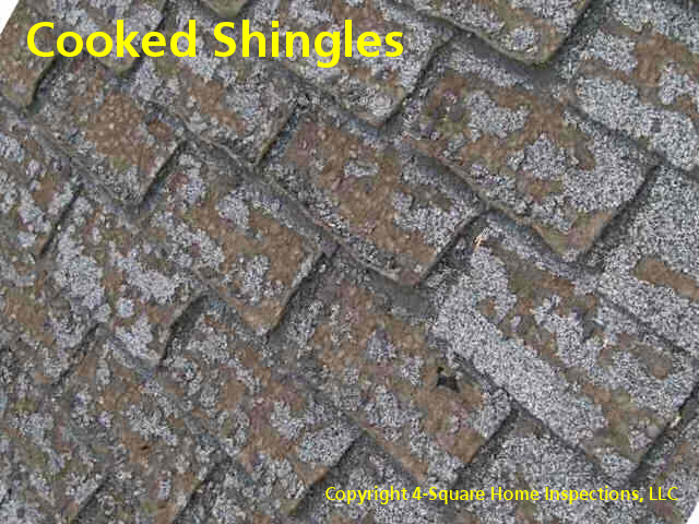 atticshingles12