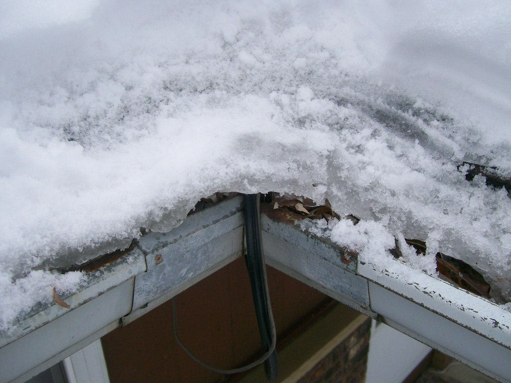 frozengutter